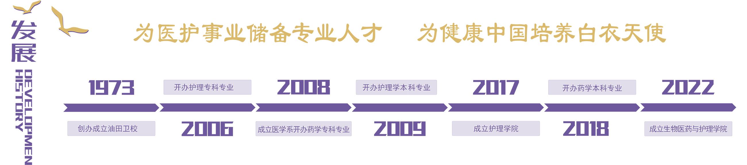 发展历程